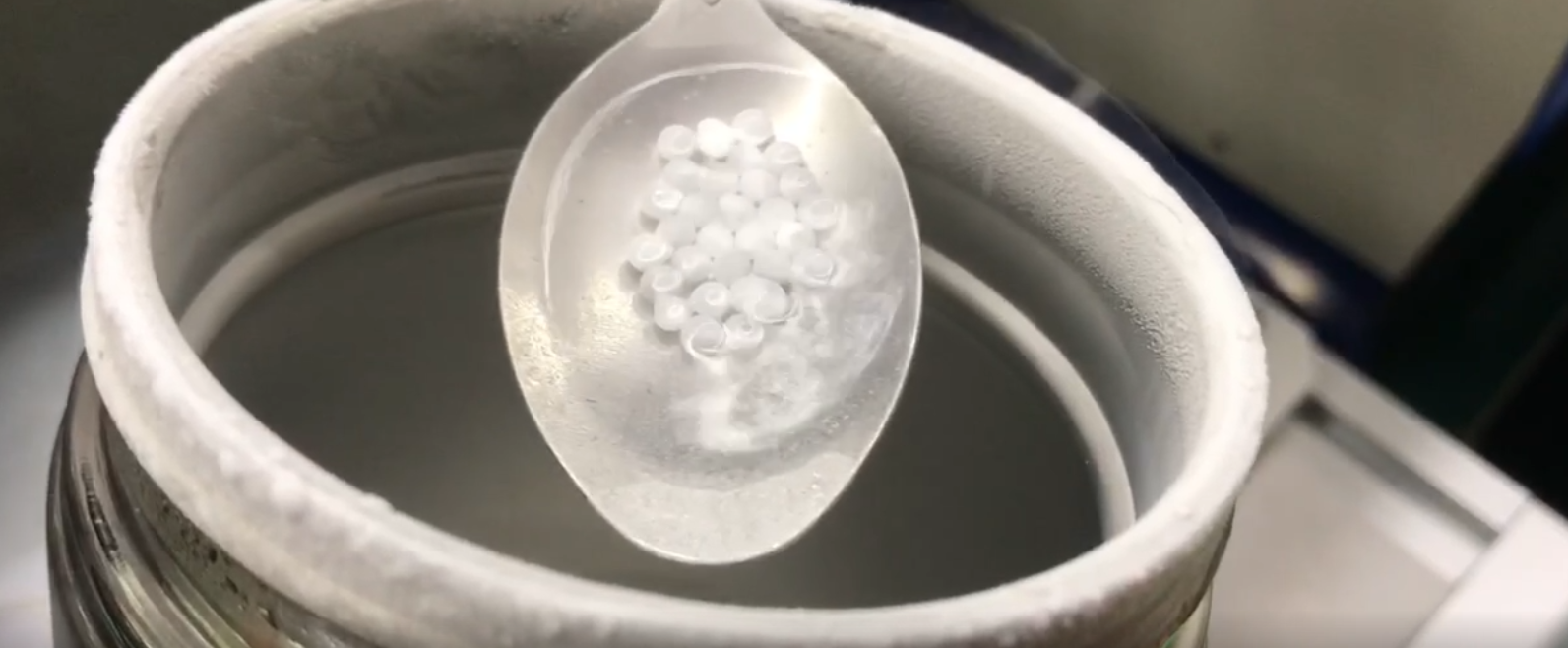 Liquid nitrogen freeze-dried microspheres